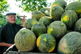 Images Of Portugal Melon Market Alpiarca Portugal Portugal Melon Portuguese Recipes
