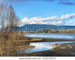Maybe you would like to learn more about one of these? Shutterstock Puzzlepix