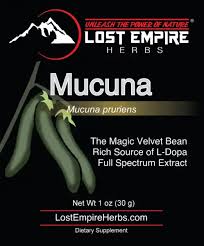 Image result for Mucuna pesa