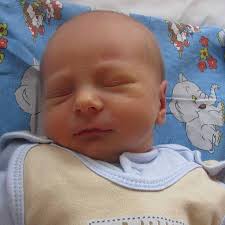 Fotogalerie: Babyboom, 44. týden