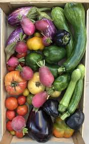 Pin De Terre De Monaco Em Notre Potager A La Tour Odeon Fotos De Frutas E Legumes Fotos De Frutas Frutas