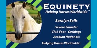 Clubfoot is a birth defect where one or both feet are rotated inward and downward. Saralyn Sells Arabian Horse Club Foot Severe Founder Cushings