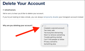 Instagram will ask you for a. How To Delete Your Instagram Account