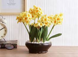 But, some are lacking with good quality, some with good designs, and possibly some with both. Home Decor Buy Home Decor Items Online In India Upto 55 Off 2021 Latest Decor Items