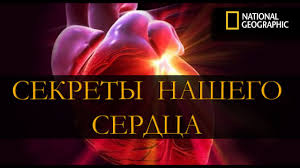 а её сердце тук тук тук стучит быстрей скачать Zvuki Bieniya I Stuki Serdca Skachat I Slushat Onlajn