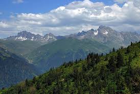 Karadeniz Dağları Türleri ve Özellikleri