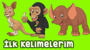 Hayvanlari Ogreniyoruz Gercek Hayvan Sesleri Ilk Kelimelerim Izlesene Com