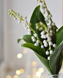 Floral hello spring lily of the valley flowers aesthetic tote bag. Fleur Aesthetic Instagram Julia Ok8