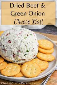Dried Beef And Green Onion Cheese Ball Recipe In 2021 Appetizer Recipes Favorite Appetizers Food
