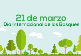 Resultado de imagen de DIA DE Los bosques