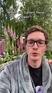 Cool season flowers like to be planted in late summer or early fall to get  established all winter here in our warm growing zone. These are flowers  like foxgloves, delphiniums, and ranunculus. ...