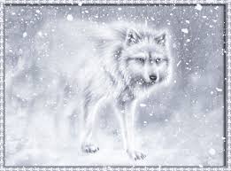 Explore animated wolf wallpaper on wallpapersafari | find more items about wolf howling wallpaper, free wolf screensavers and wallpaper, wolf desktop wallpaper free 1920x1080. Wolves Wallpaper Gif