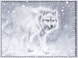 25 great wolf animated gifs. Wolves Wallpaper Gif