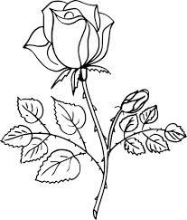 Coloriage Rose Et Dessin A Imprimer Pour Rose Dessin Coloriage Rose Coloriage Dessin De Fleurs Au Crayon