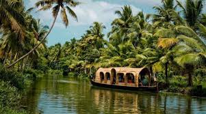 Sustainable Travel Tips for Visiting Kerala