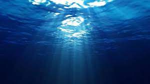 Pin By Krzysztof Czeresniowski On Projeto Grafico Underwater Wallpaper Underwater Background Ocean Wallpaper