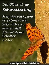 Das Gluck Ist Ein Schmetterling Spruche Suche Spruche Gluck Spruche Suche Spruche
