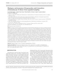 Image result for Syngonanthus wahlbergii