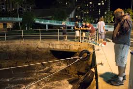 Mar 11, 2011 · japan earthquake and tsunami, severe natural disaster that occurred in northeastern japan on march 11, 2011, and killed at least 20,000 people. Tsunami Hits Hawaii Five Swept To Sea On West Coast The Spokesman Review