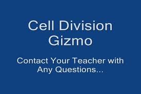 We did not find results for: Cell Division Gizmo Help Schooltube Safe Video Sharing And Management For K12