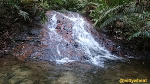 • pistes de jogging • terrain ayer hitam forest reserve : Travel Malaysia 2 Ayer Hitam Forest Reserve Steemit