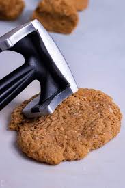 Healthy vegan oatmeal cookiesthis healthy kitchen. Vegan Schnitzel Vegan And Oil Free Recipes Zardyplants