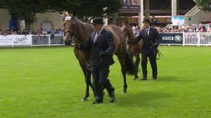 Parkmore Evita Wins Coote Cup