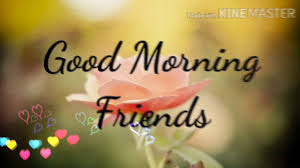Good Morning Friends Good Morning Wishing Images Photos Video Status Youtube
