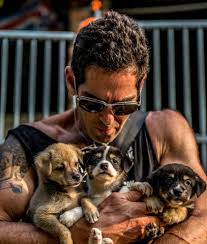 Dogs may not be left unattended. No Dogs Left Behind Beats The Odds To Bring Survivors Home Business Wire