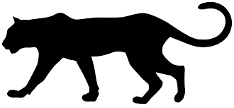 Cougar Clipart Florida Panther Cougar Florida Panther Transparent Free For Download On Webstockreview 2020 Moon, silhouette, santa claus, reindeers. webstockreview