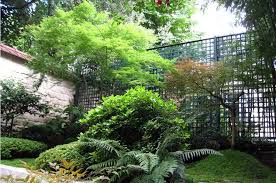 Jardins Du Japon Et D Ailleurs Jardin Japonais Architecte Paysagiste Jardin Asiatique