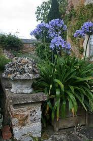 Coton Manor Garden Beautiful Gardens Garden Urns Manor Garden