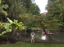 Promenade Dans Le Jardin Botanique De Metz Avis Et Photos D Un Local