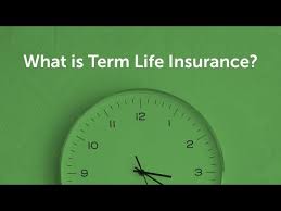 Use our simple life insurance calculator to find the right amount of life insurance coverage for you and your family. Got Life Insurance Term Insurance Explained Quotacy