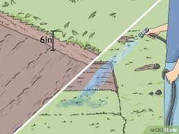 Keep an eye on those wilting or dry grass. 3 Ways To Take Care Of Sod Wikihow