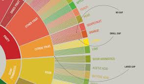 how to use the coffee tasters flavor wheel in 8 steps