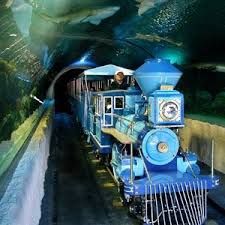 Houston Citypass Discounted Admission To Houston S 5 Best Attractions 46 For Adults Houston Aquarium Texas Adventure Texas Travel