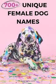 Are you having a hard time making a decision on what to name your female puppy? 700 Unique Female Dog Names For 2021 Puppy Names Unique Cute Girl Dog Names Unique Female Dog Names