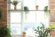 15 Ideas on How to Dress a Window Without Curtains - Taskrabbit Blog