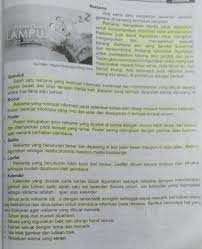 Sebutkan 5 Jenis Reklame Brainly Co Id