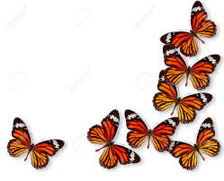 This information helps the writer and reader form background information for an academic research paper is basic or introductory infor. Colorful Background With Monarch Butterfly Stock Photo Picture And Royalty Free Image Image 16130494
