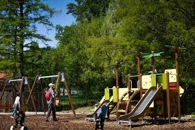 We did not find results for: Foto Poate Cel Mai Frumos Loc De JoacÄ Din Sibiu