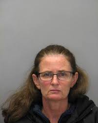 Delaware State Police