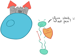 You can do the exercises online or download the worksheet as pdf. Passive Transport And Active Transport Across A Cell Membrane Article Article Khan Academy