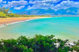 Image result for Kanahia