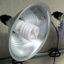 Using shop lights to grow plants. Lighting Options For Starting Seed Leds Vs Fluorescent