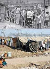 How displaced pay with lives for city's pride