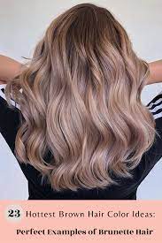 Pin On Brown Hair Colors