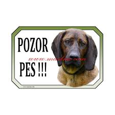 Image result for hannoverský barvář