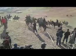 Худжанд бузкаши чашмасор бузкаши зафаробод кобра бузкаши. Buzkashi Huzhand Epadrom Novruz Starinnyj Prazdnik Chelovechestva Aspdavoni Instagram Posts Photos And Videos Picuki Com Isa Pop Rock Manuela